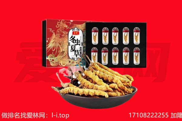 元阳县回收虫草.jpg